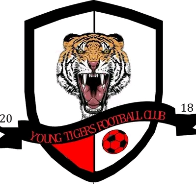 Young Brazil fc logo