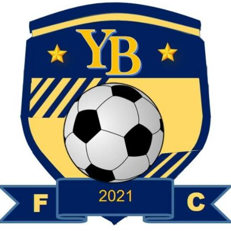 Young Boys FC logo
