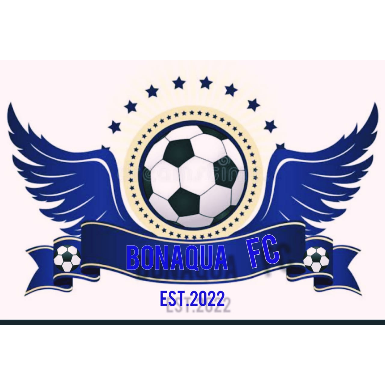 Bonaqua FC logo