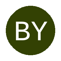 Bothaville Young Sundowns logo