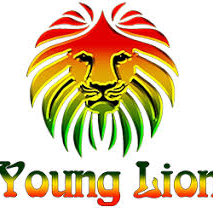 Young Lions FC logo
