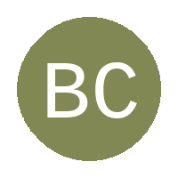 Boys City FC logo