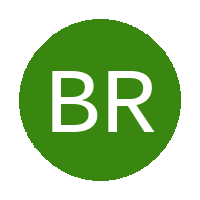 Blue Rebels FC logo