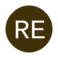 Rising Eagle FC logo