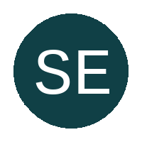 Super Eagles FC logo