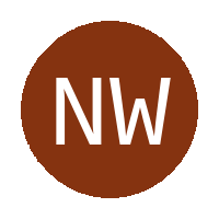 Nongoma Warriors FC logo