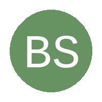 Blazing Strikes FC logo