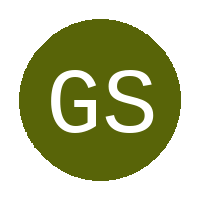 Green Swallows logo
