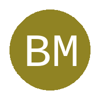 Bronville Masters FC logo