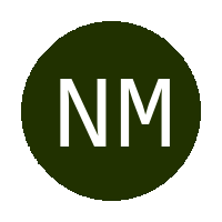 N1 Masters FC logo