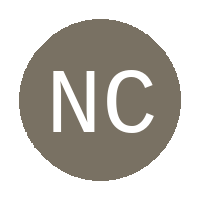 Nokaneng Cosmos FC logo