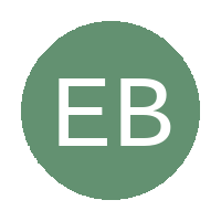 Emdeni Big 13 FC logo