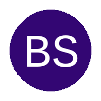 Bergsig Strikers logo
