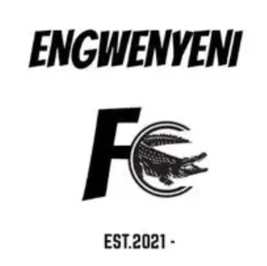 Engwenyeni FC logo