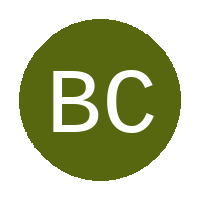 BAKOENA CHIEFS logo