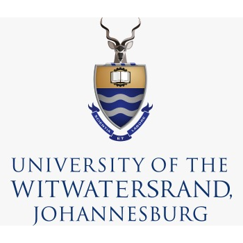 WITS logo