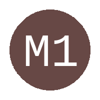 Magic 10 Academy logo