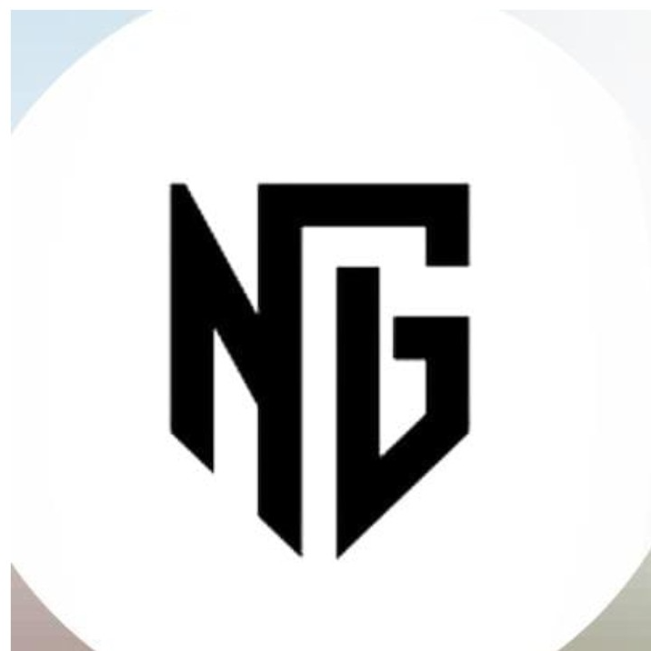 Nigel Galecticos FC  logo