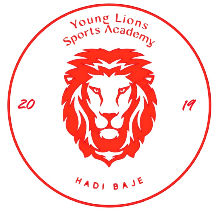 Young Lions FC logo