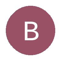 BUBS logo