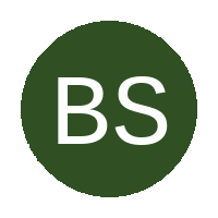 Boikhutso Stars Ladies FC logo