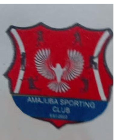Amajuba Sporting FC logo