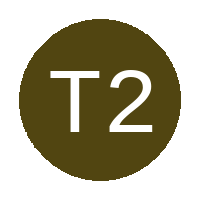 Team 21 logo