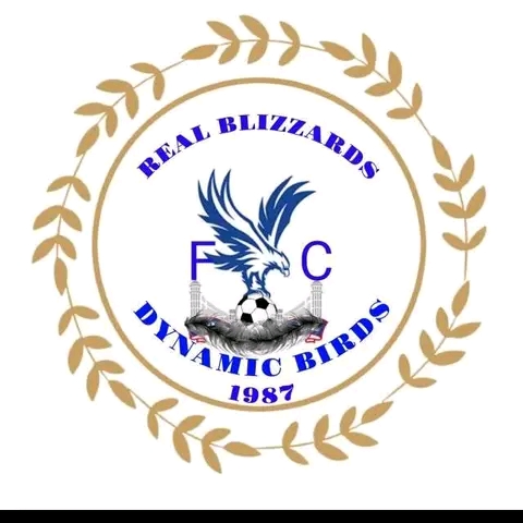 Real Blizzards FC logo