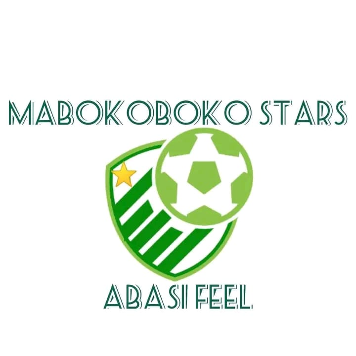 Amabokoboko Stars FC logo