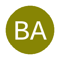Bright All Stars Academy logo