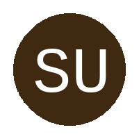 Styles United  logo
