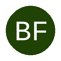 Bashilano FC logo