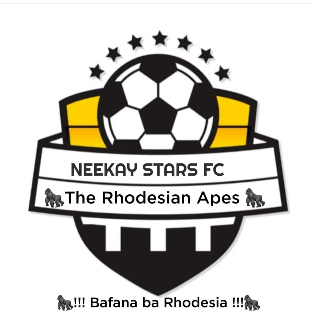 Neekay Stars Football Academy logo
