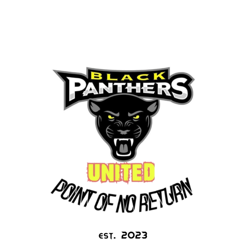 Black Panthers FC logo