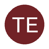 The Elects FC logo