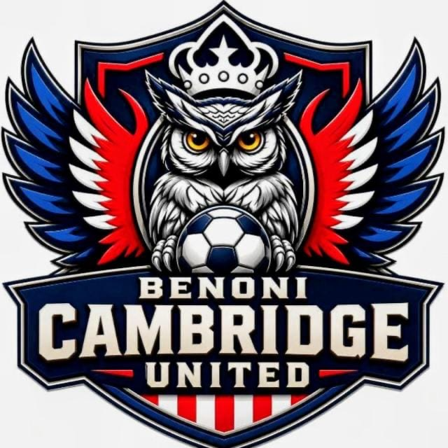Benoni City United FC logo