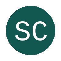 Sun City FC logo