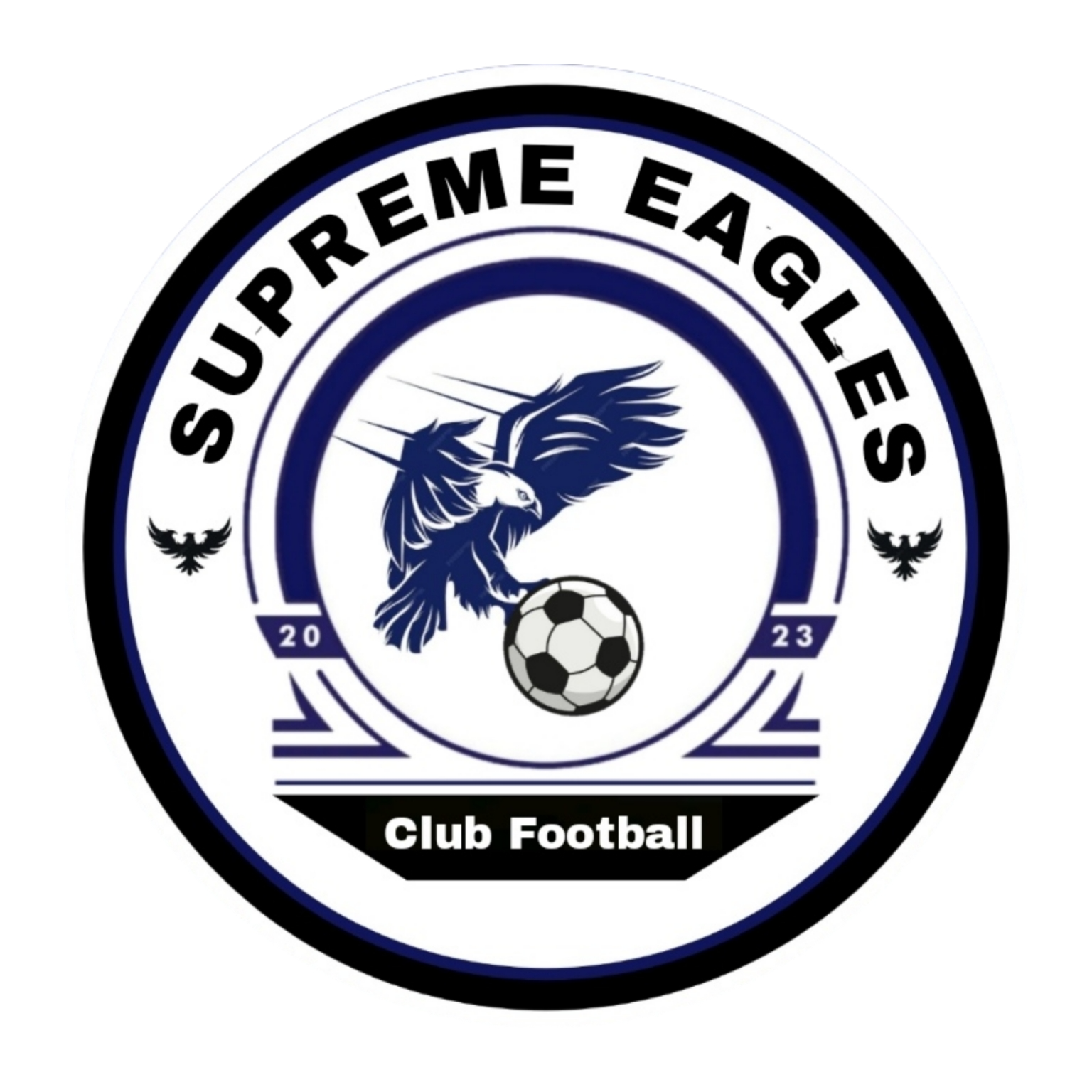 Coal City Wizards FC logo