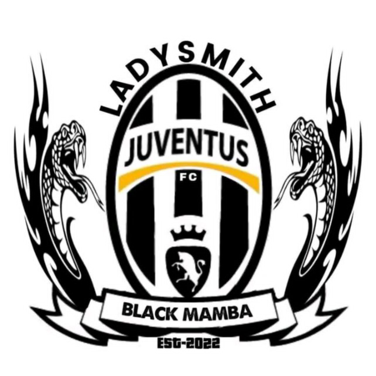 Ladysmith Juventus FC logo