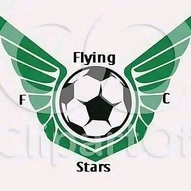 Flying Stars FC logo