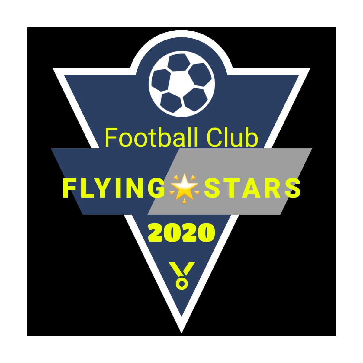 Flying Stars FC logo