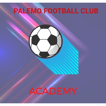 Palemo Football Club Academy logo