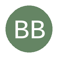 Bash Blue Boys FC logo