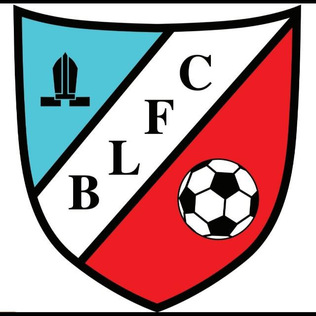 Bishop Lavis FC logo