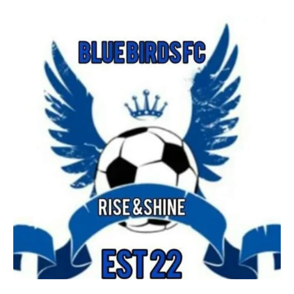Blue Birds FC logo