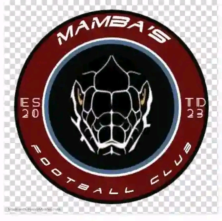 Mambas FC logo
