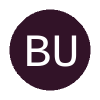 Bakone United FC logo