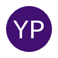 Young Professionals logo
