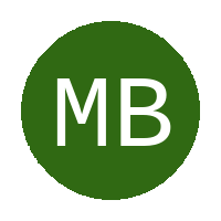 Mountain Birds FC logo