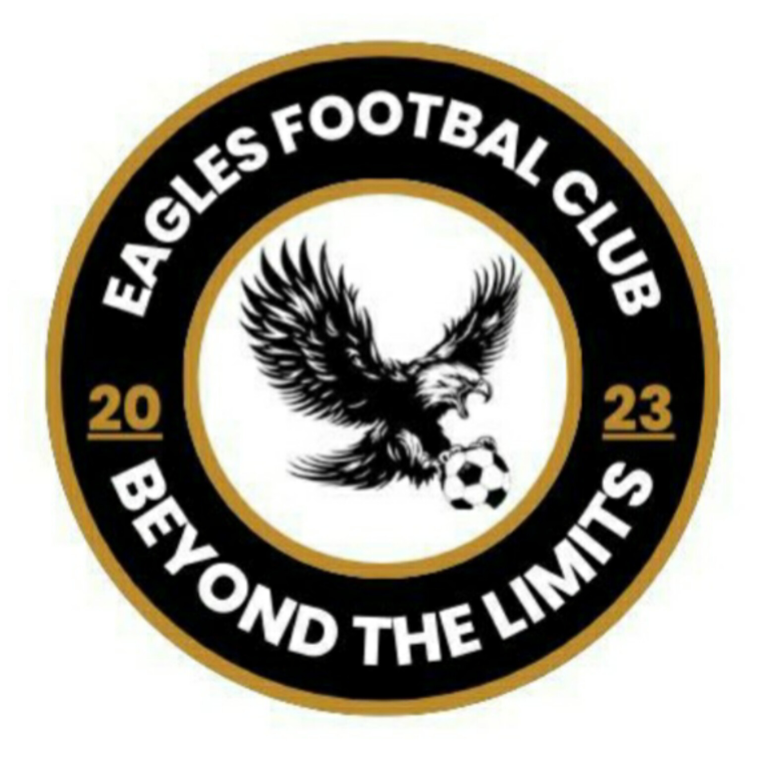 Eagle FC logo